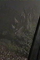 Jurassic Park – Found Footage: Containment Operation (2024)