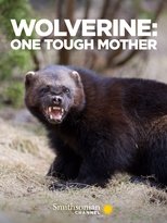 Poster for Wolverine: One Tough Mother 