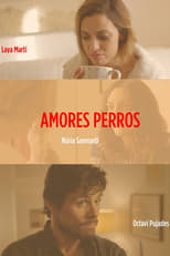 Poster for Amores perros