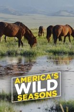 Poster for America's Wild Seasons