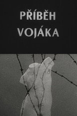 Příběh vojáka