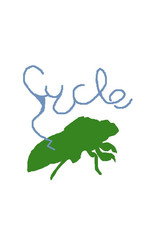 Cycle