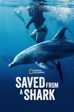 Poster for Saved From a Shark