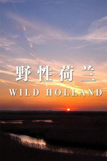 野性荷兰 poster
