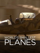 Poster for World's Smallest Planes