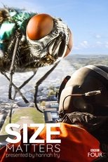 Poster for Size Matters