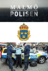 Malmöpolisen (2012) poster