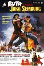 Poster for The Warrior and the Blind Swordsman