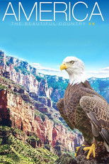 Watch America – The Beautiful Country (2013)
