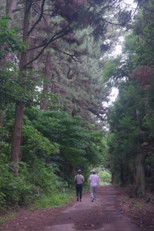 The Time of Jeju poster