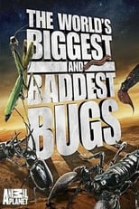Poster for The World's Biggest and Baddest Bugs