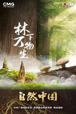 林下万物生 poster