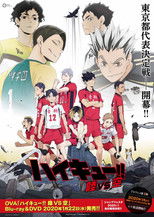 Haikyu!! Land vs. Air poster