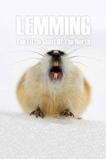 Lemming, the little giant of the North (2017)
