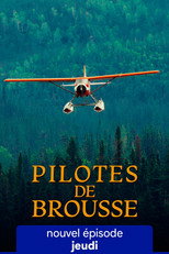 Pilotes de brousse poster