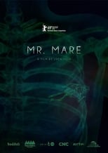 Poster for Mr. Mare 