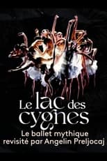 Poster for Le lac des cygnes au théâtre national de Chaillot 
