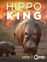 Poster for Hippo King