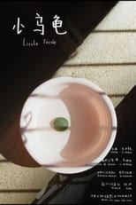 Poster for Little Turtle 