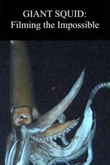 Poster for Giant Squid: Filming the Impossible