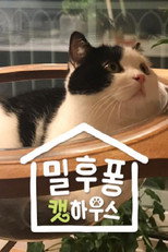 밀후퐁콘 캣하우스 poster
