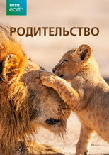 изображение1