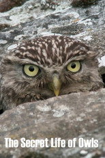 The Secret Life of Owls (2018)