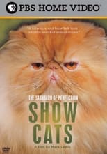 Poster for The Standard of Perfection: Show Cats 
