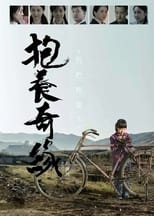 Poster for 抱养奇缘