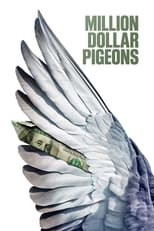 Poster for Million Dollar Pigeons