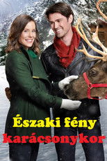 Északi fény karácsonykor