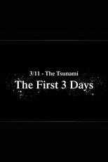 Poster for 3/11 - The Tsunami: The First 3 Days 