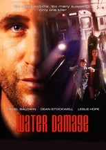 Poster for Water Damage