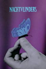 Papillons de nuit