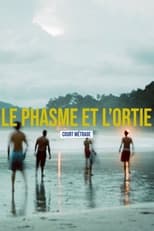Poster for Le phasme et l'ortie