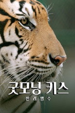 굿모닝 키스 poster
