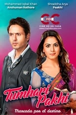 Tumhari Pakhi (2013)