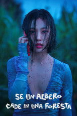 Se un albero cade in una foresta