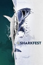 Poster for Sharkfest