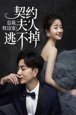 总裁枕边宠：契约夫人逃不掉 poster