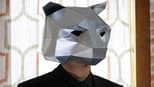 Ver La máscara de oso online en cinecalidad