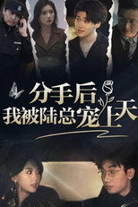 分手后，我被陆总宠上天 poster