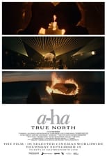 Poster di a-ha: TRUE NORTH