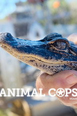 Animal Cops: Miami (2010)
