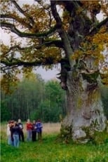 Poster for In the Shade of the Oak Tree