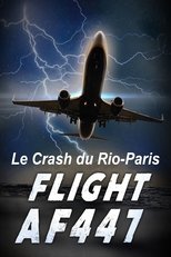 Vol AF 447, Le crash du Rio-Paris main poster