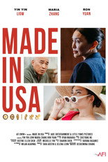 Made in USA poster