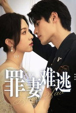 罪妻难逃 poster
