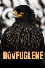 Legenden der Lüfte poster