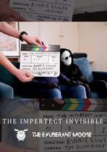 Poster for The Imperfect Invisible